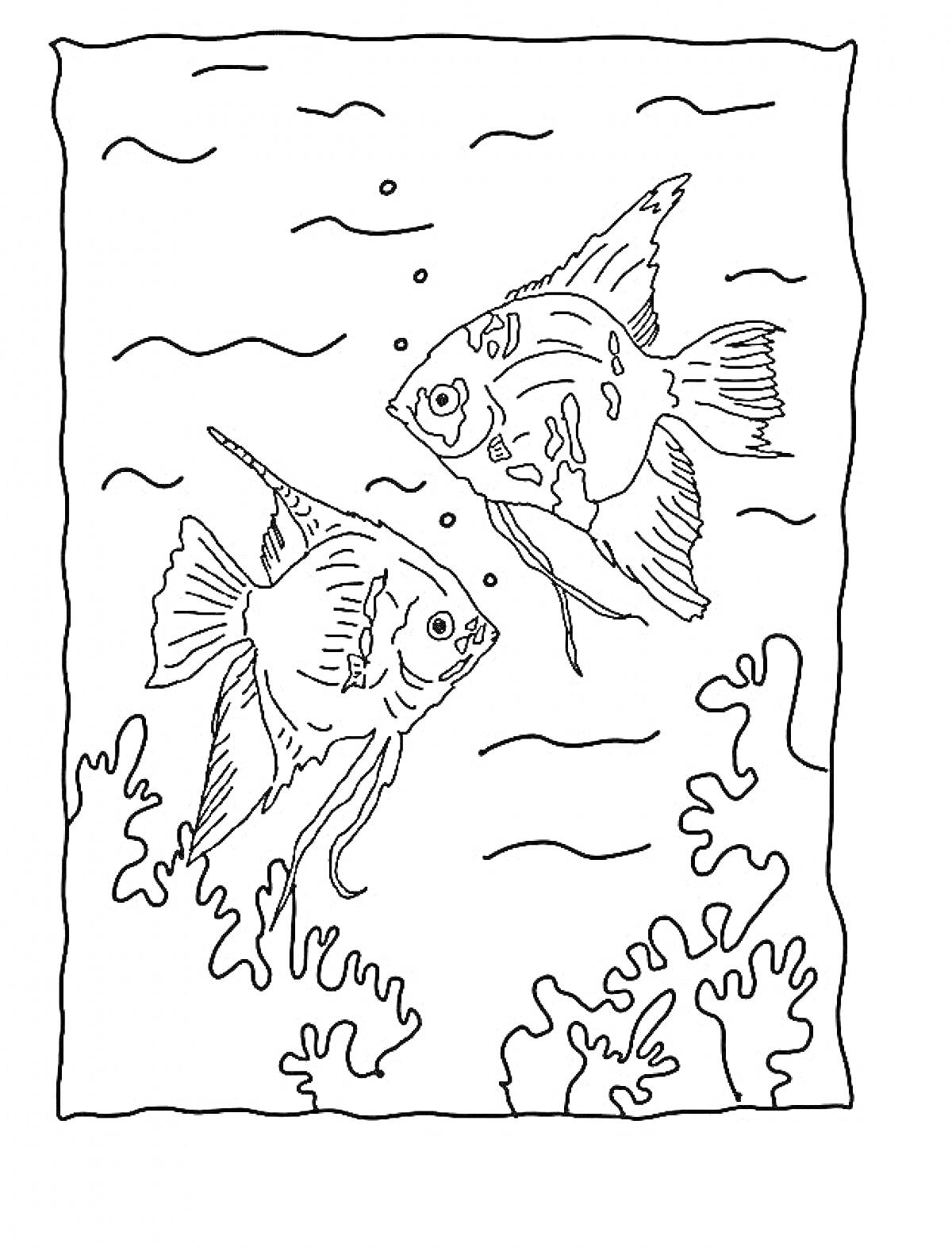 На раскраске изображено: Водоросли, Подводный мир, Аквариум, Морская жизнь, Кораллы, Вода, Для детей, Рыба