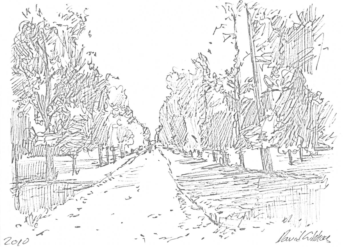 Раскраска Аллея с деревьями вдоль дорожки