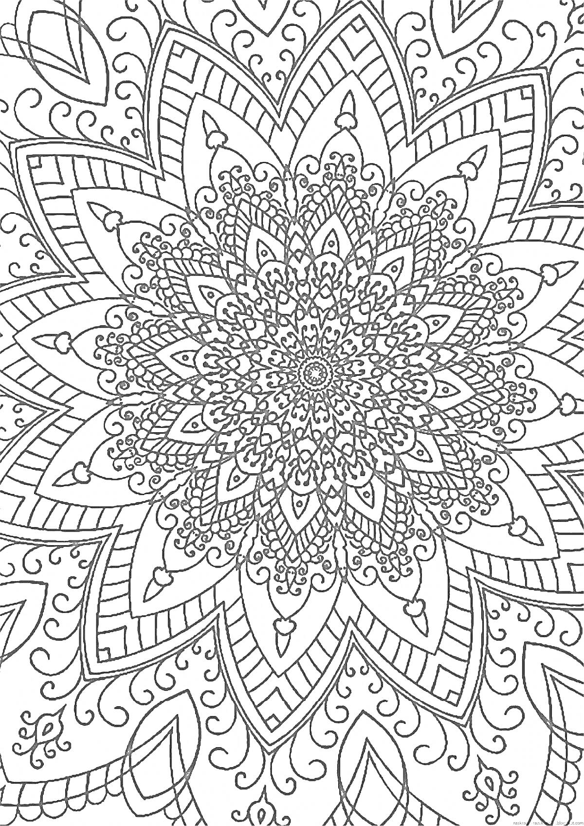 Раскраска Антистресс арт раскраска с детализированной мандалой, включающей узоры с цветами, линиями и завитками