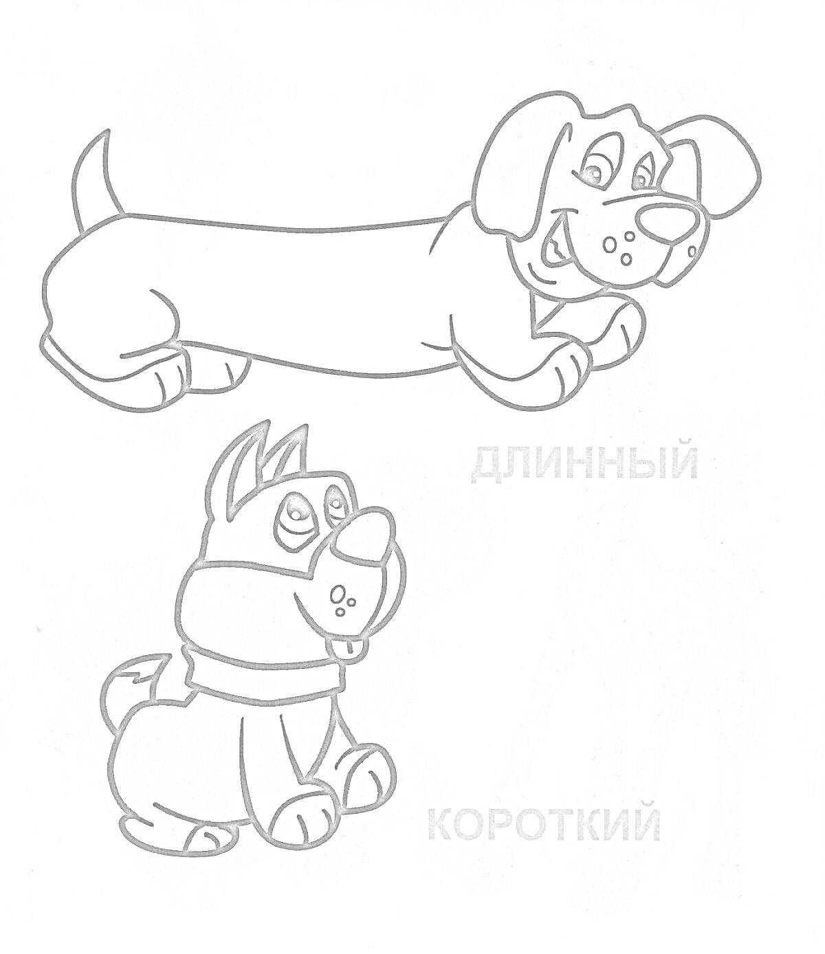 Раскраска Длинная и короткая собаки