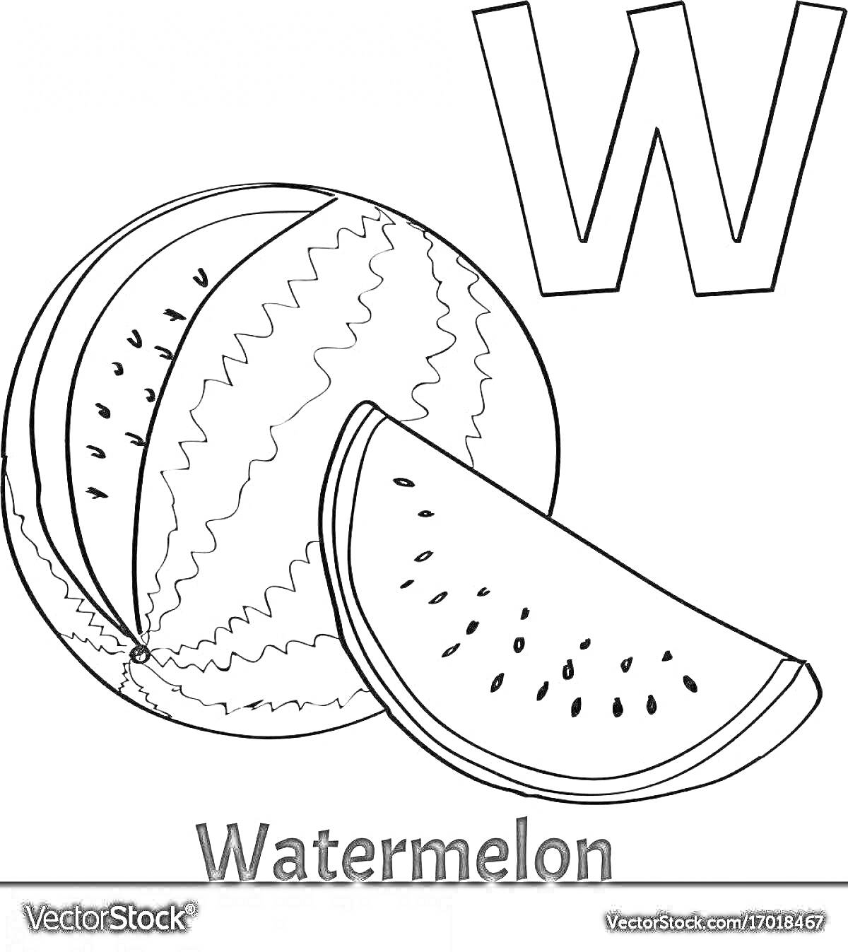 На раскраске изображено: Арбуз, Алфавит, Буква W, Английский алфавит, Обучение