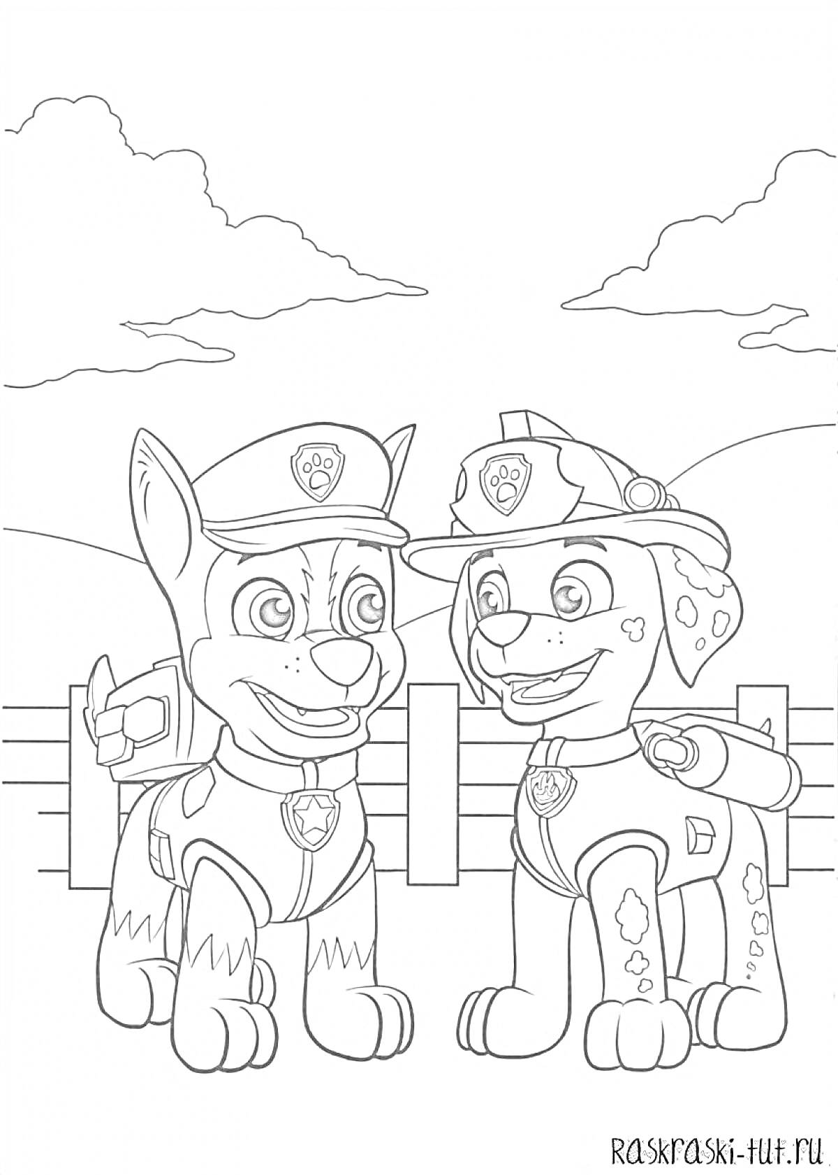 Щенячий патруль - Гонщик и Маршал рядом с забором на фоне облаков и холмов