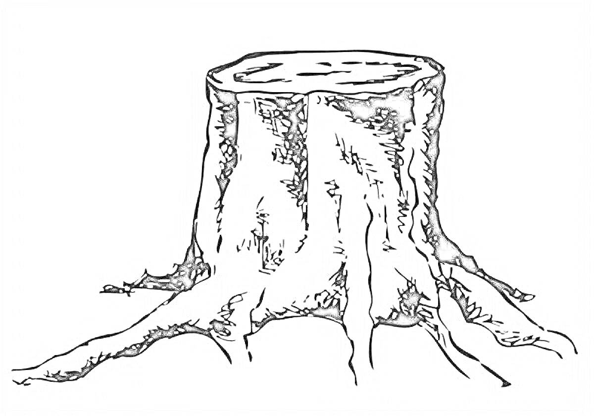 Раскраска Пень с корнями на белом фоне
