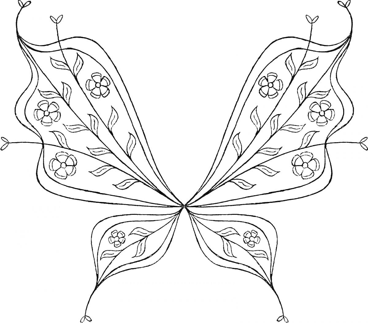 Раскраска Крылья с узором из цветов и листьев