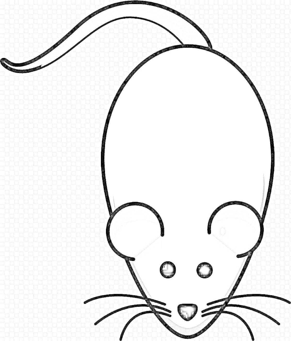 Раскраска мышка с длинным хвостом и крупной головой, черно-белый контур