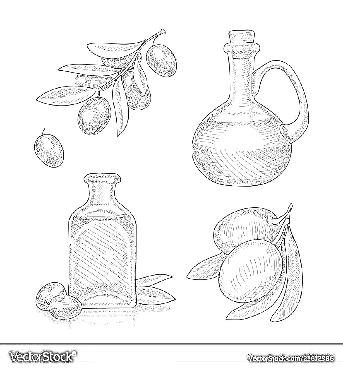 Ветка оливы, бутылка оливкового масла с ручкой, плоды оливы и бутылка