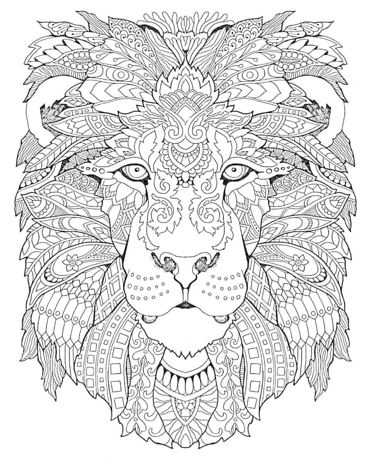 Раскраска Лев с декоративными элементами, орнамент и узоры по всей поверхности