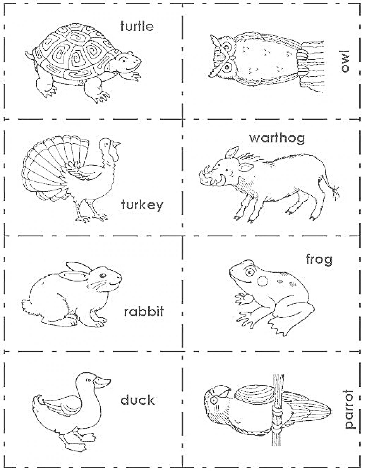 Раскраска с животными: черепаха, сова, индейка, бородавочник, кролик, лягушка, утка, попугай.