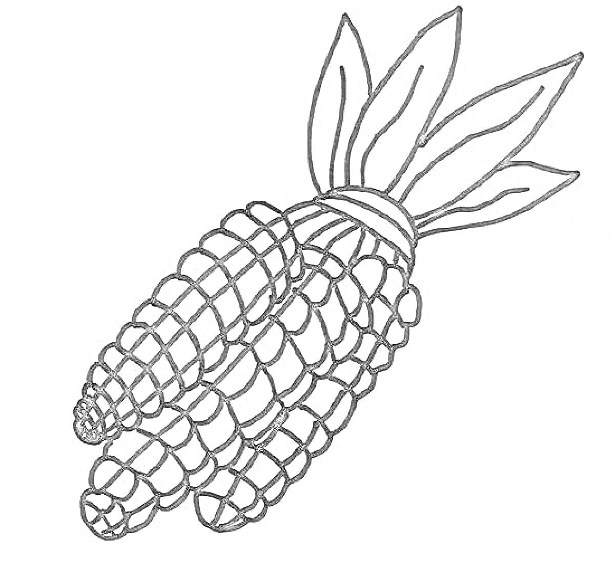 На раскраске изображено: Кукуруза, Листья, Еда, Сельское хозяйство, Растения, Контурные рисунки