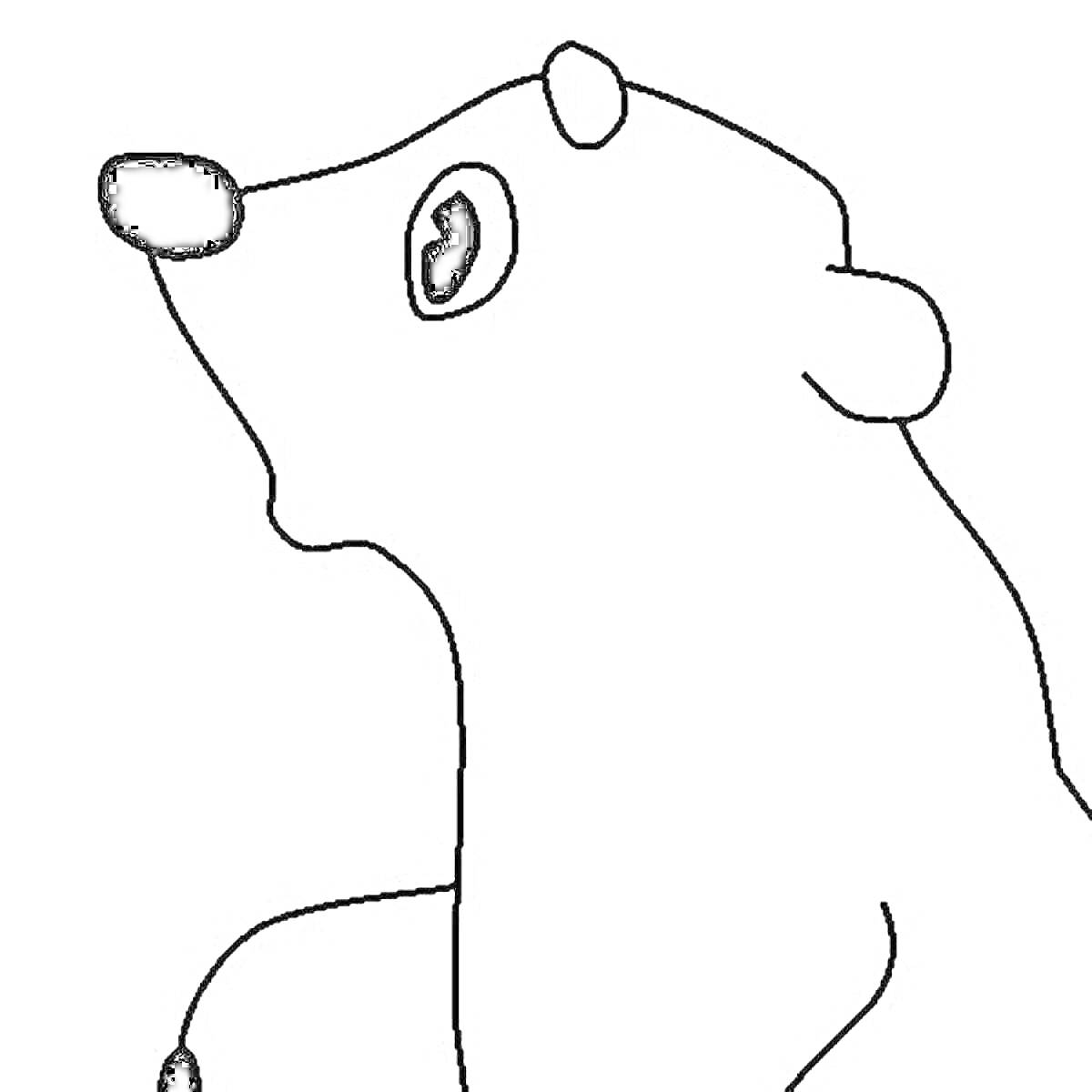 На раскраске изображено: Умка, Животные, Медведь