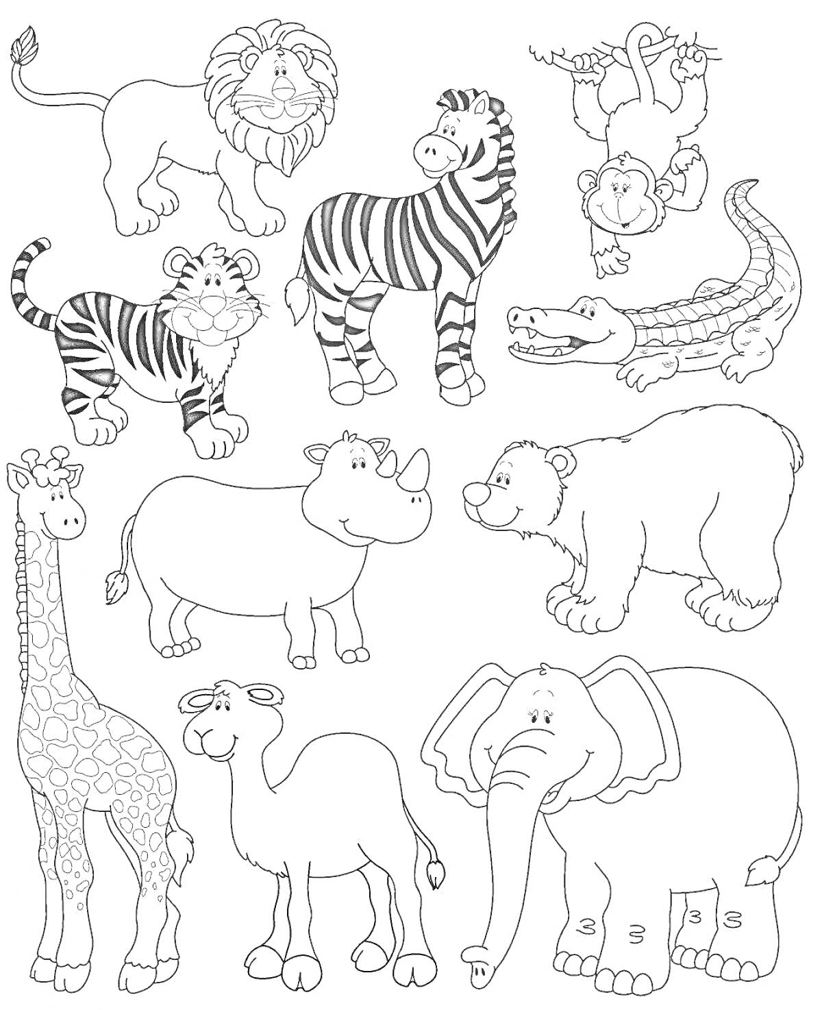Раскраска Лев, обезьяна, зебра, крокодил, тигр, носорог, медведь, жираф, верблюд, слон