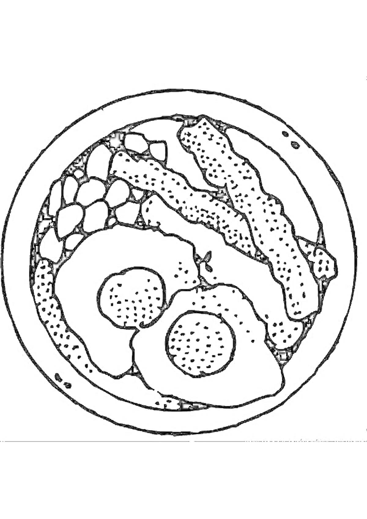 На раскраске изображено: Омлет, Картофель, Бекон, Завтрак, Еда, Тарелка