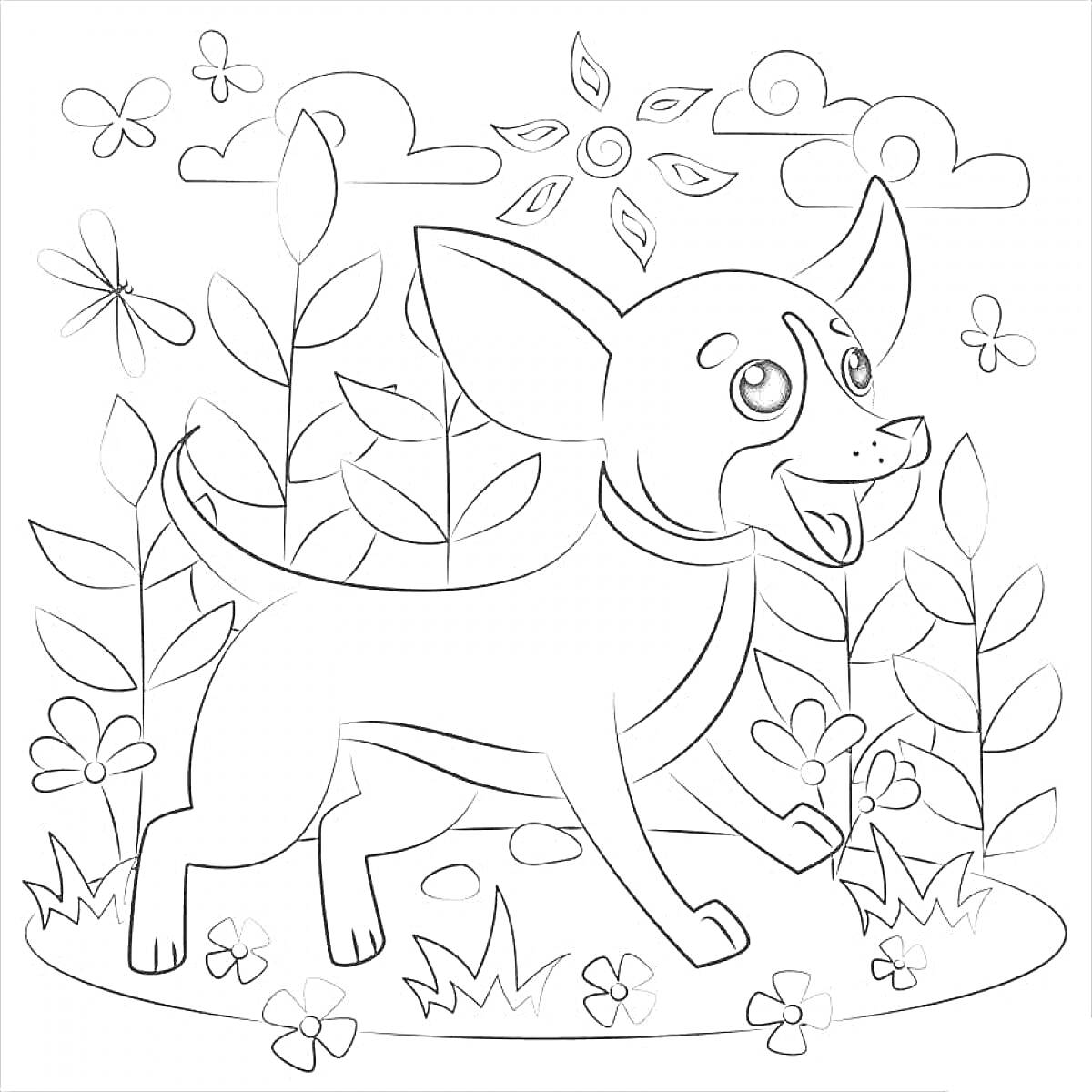 На раскраске изображено: Чихуахуа, Собака, Цветы, Трава, Облака, Солнце, Природа, Милые животные
