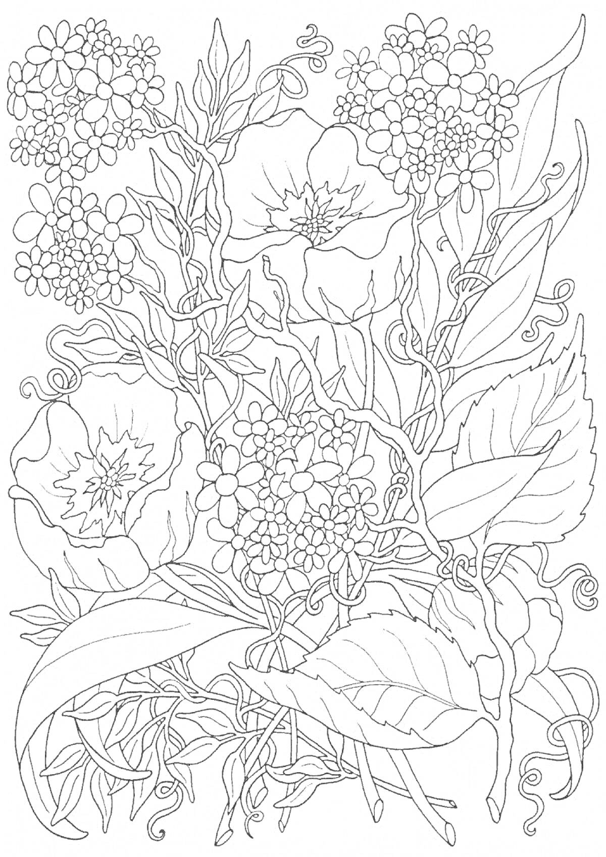 Раскраска Рисунок с крупными цветами и мелкими соцветиями, окруженный растительными листьями и завитками