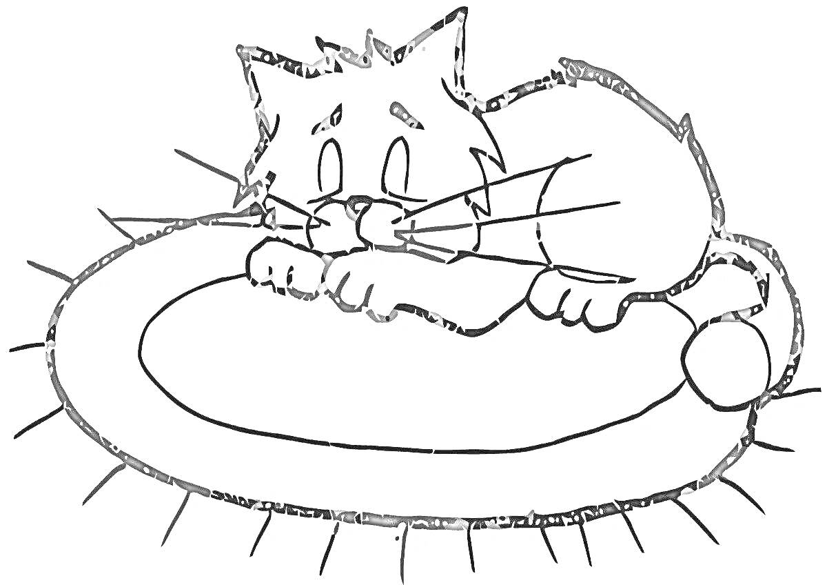 Раскраска Кот на овальном коврике с кисточками