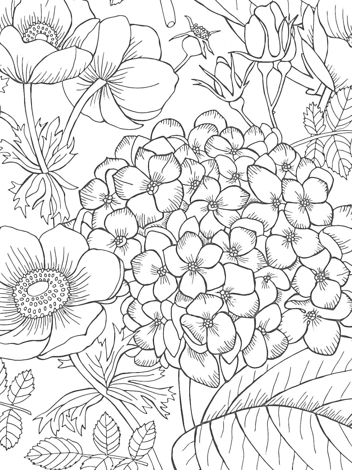 Раскраска Цветочная композиция с пионами, гортензиями и листьями