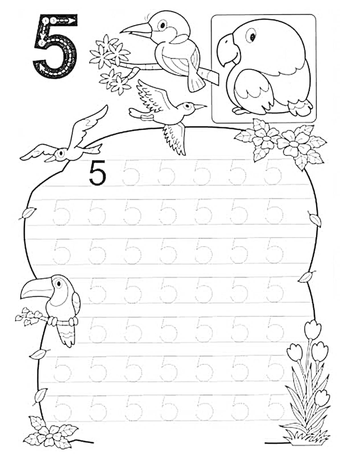 Раскраска Пропись цифры 5 с изображениями птиц и растений