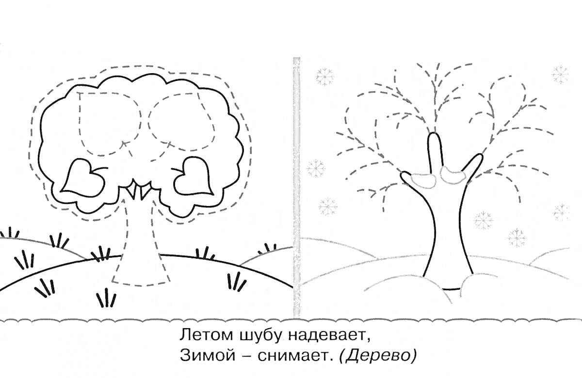 Раскраска Летнее и зимнее дерево с листиками и снежинками