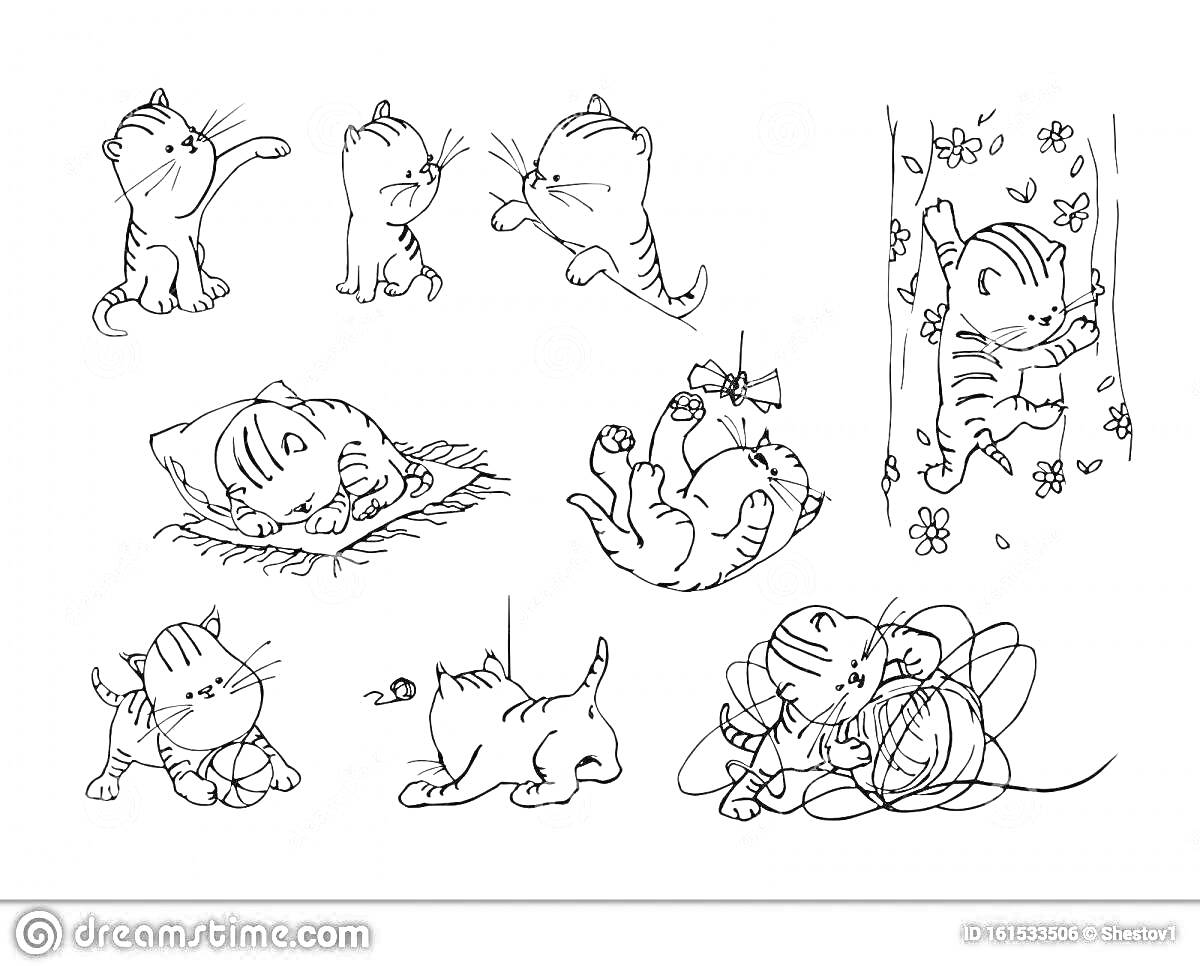 Раскраска Котята в разных ситуациях (прыжок, спящий на подушке, игра с клубком, карабкается по дереву, нюхающий цветок, лежащий на полу, сидящий с мячиком)