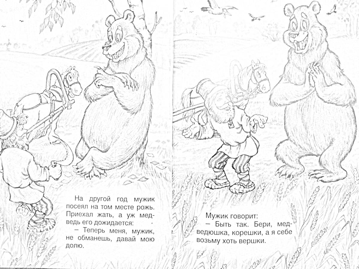 На раскраске изображено: Медведь, Урожай, Поля, Диалог, Природа, Деревья