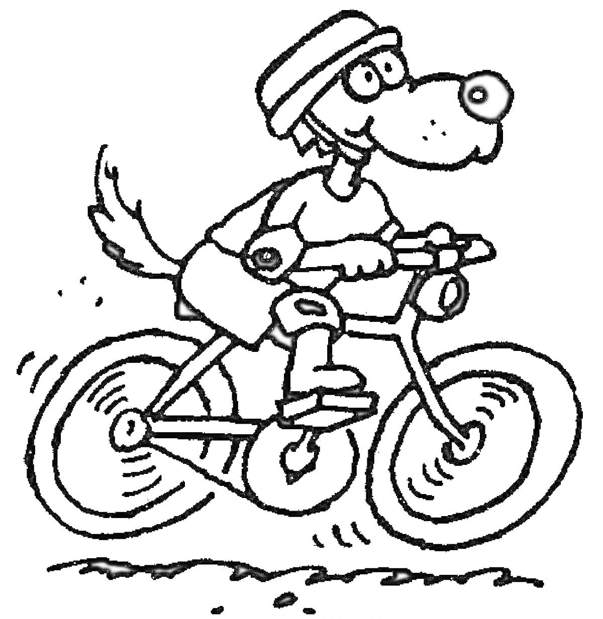 На раскраске изображено: Велосипедист, Собака, Велосипед, Движение, Спорт, Хвост, Улыбка