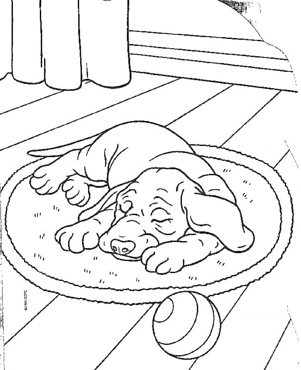 На раскраске изображено: Собака, Занавески, Пол, Дом, Сон