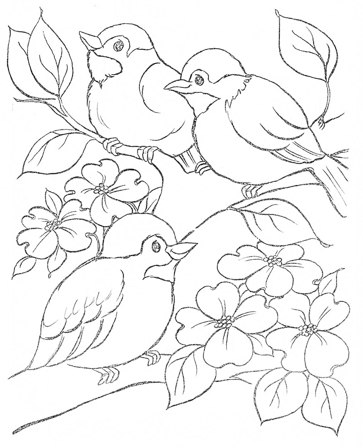 Раскраска Три птицы на ветке с цветами и листьями