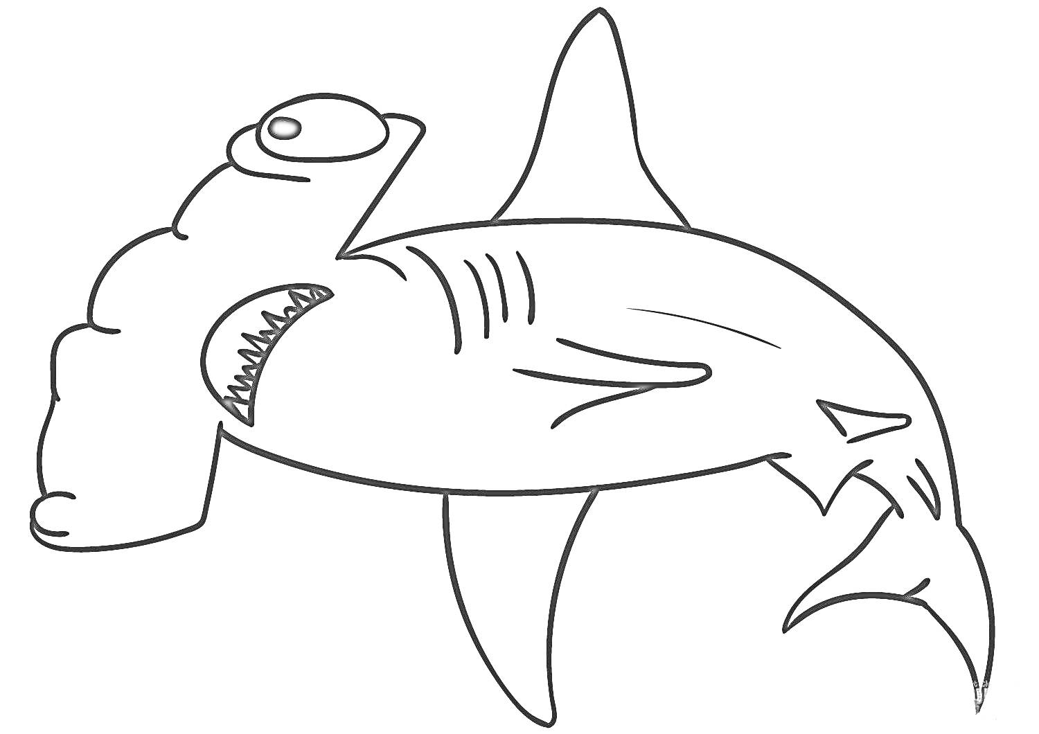 Раскраска Раскраска с изображением акулы-молота с плавниками и хвостом
