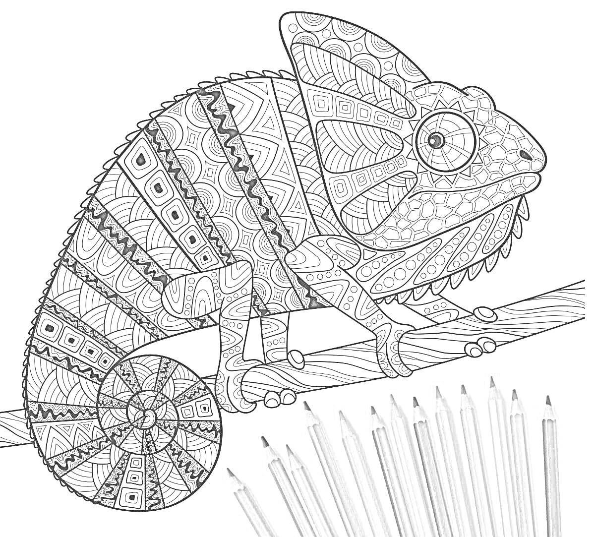 На раскраске изображено: По номерам, Хамелеон, Узоры, Ветка, Цветные карандаши, Антистресс, Арт-терапия