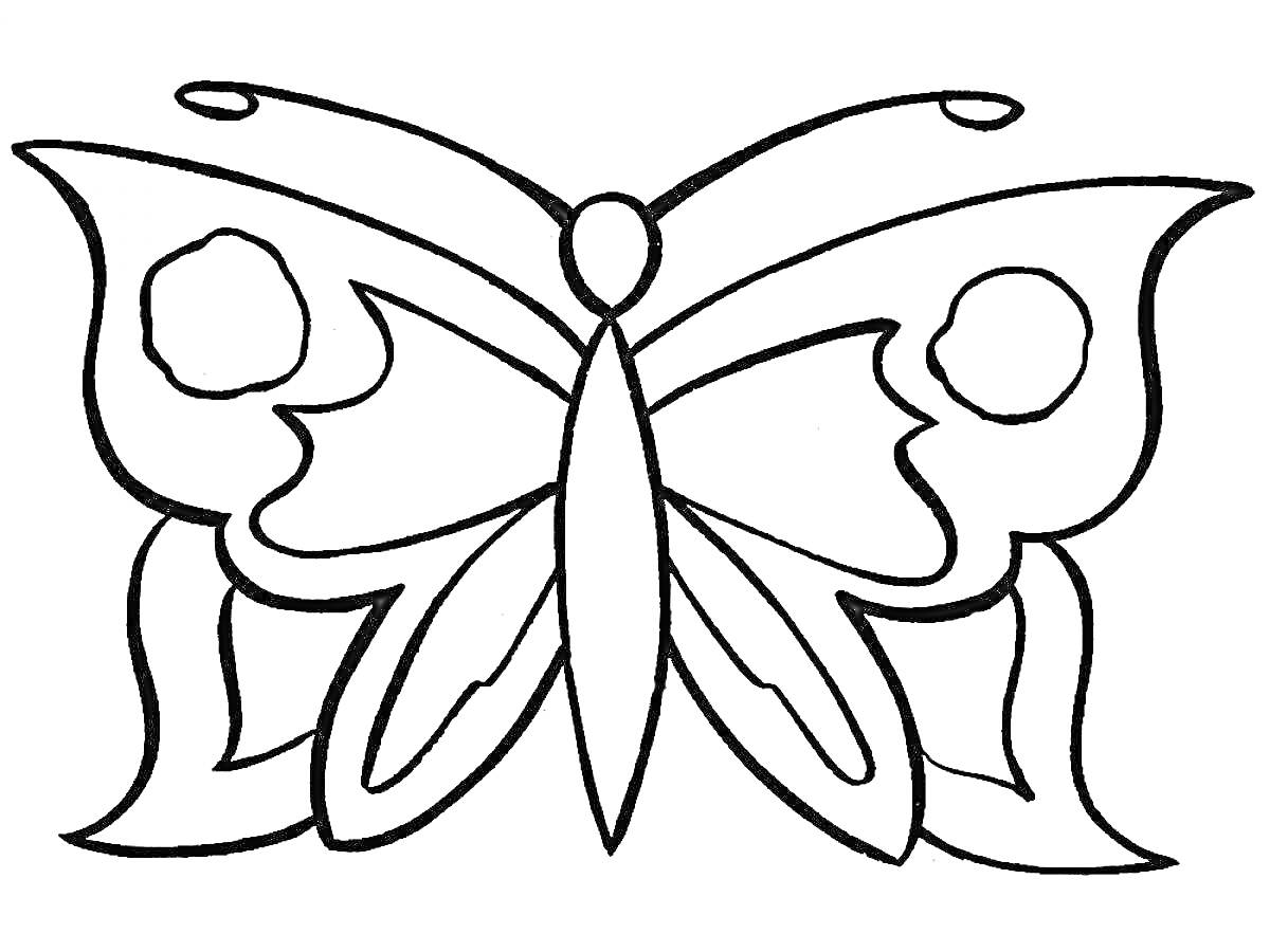 Раскраска Бабочка с рисунком на крыльях