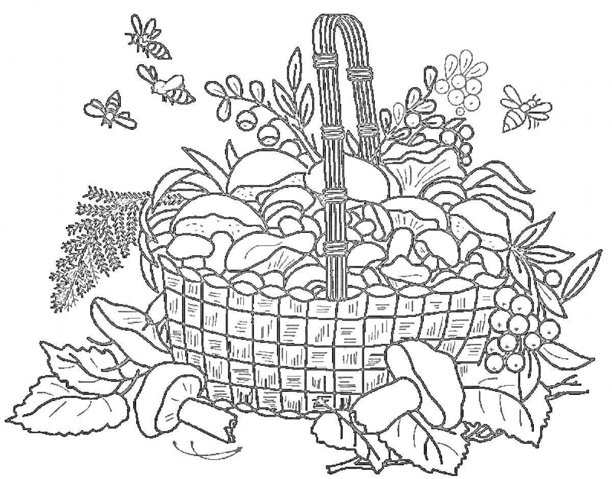 Раскраска Корзинка с грибами и ягодами. Корзина, грибы, ягоды, листья, цветы, ветка, бабочки.