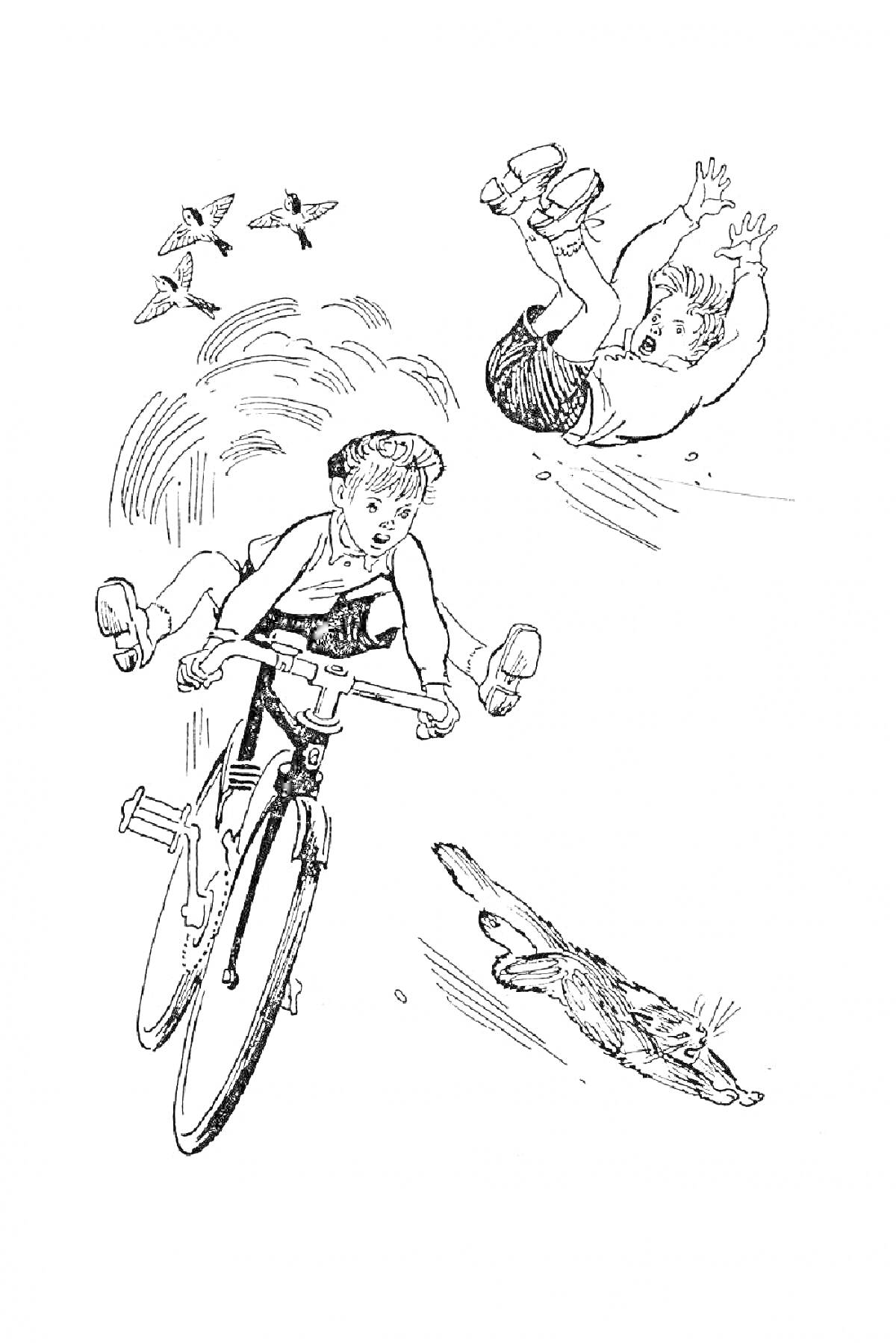 На раскраске изображено: Велосипед, Мальчик, Падение, Собака, Движение, Скорость