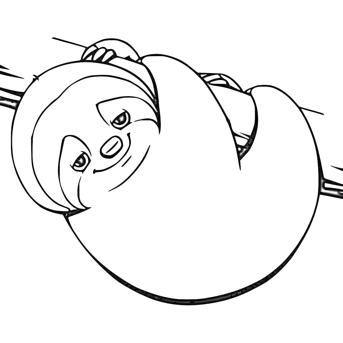 Раскраска Ленивец, висящий на ветке дерева