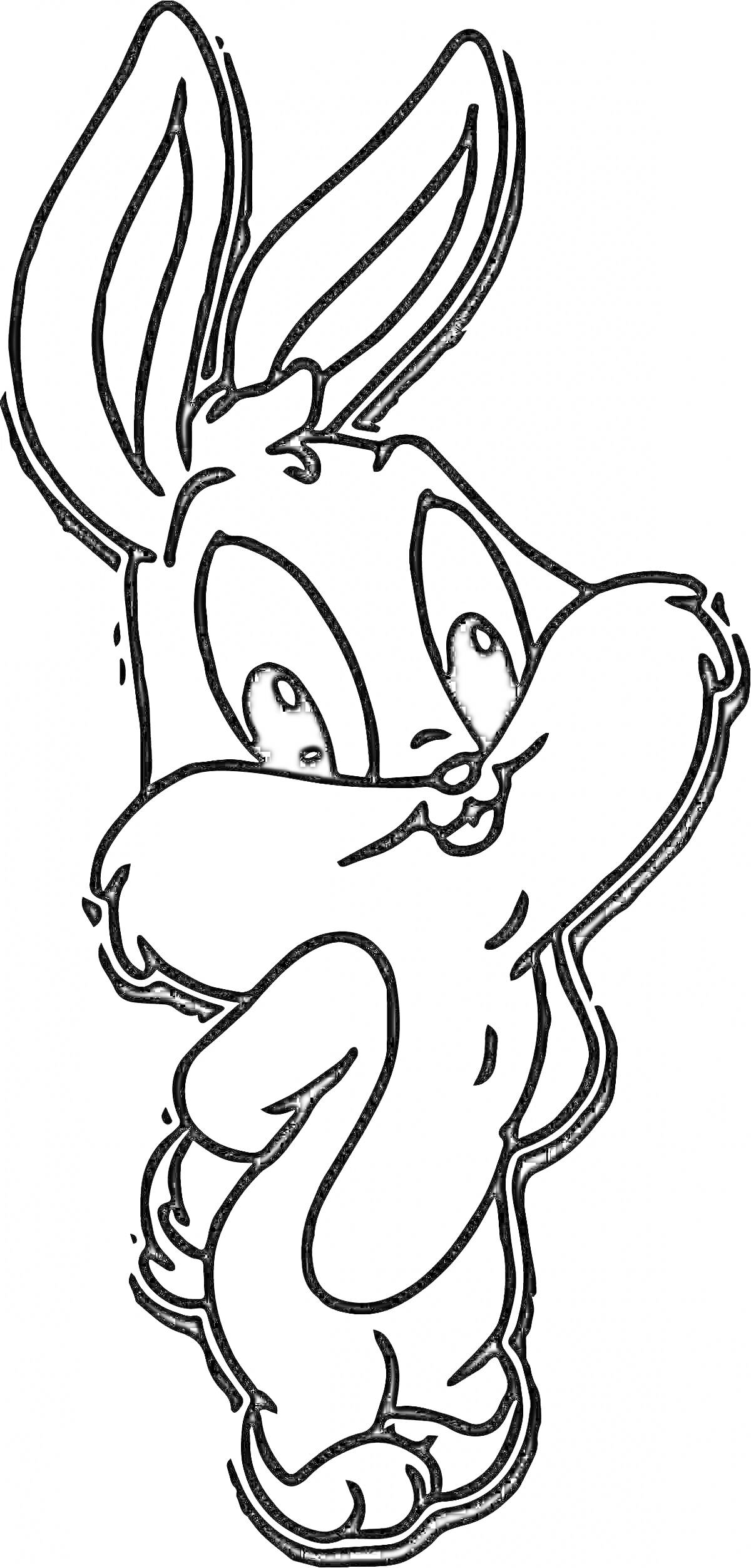 Раскраска Кролик с большими ушами в полной рост, стоящий и глядящий назад