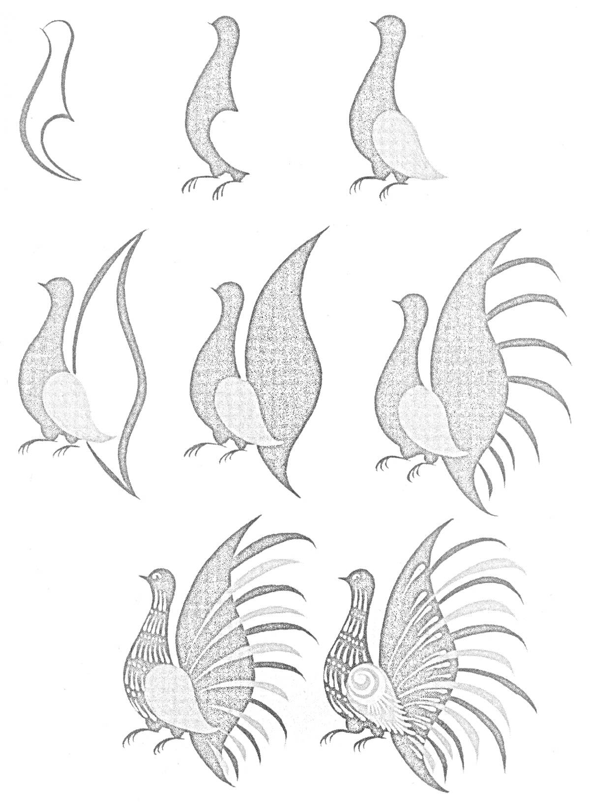 Раскраска Этапы рисования городецкой птицы. Последовательность изображений по шагам: контур тела, туловище и хвост, детали клюва и лапок; дополнительные линии хвоста и отдельные перья; подробная прорисовка грудки, хвоста и крыла с деталями.