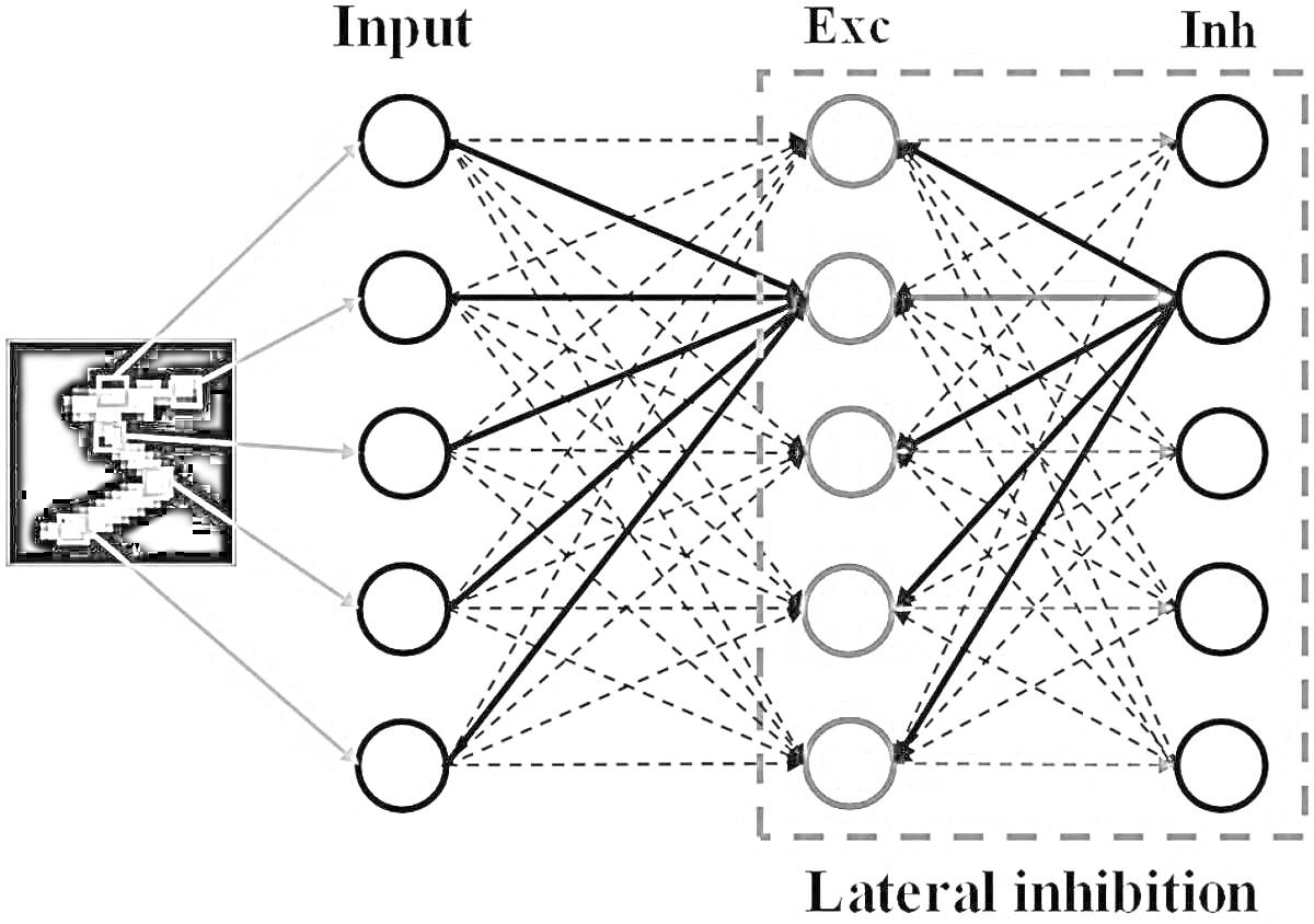 Раскраска Граф нейронной сети с входным изображением, входным слоем, скрытым слоем и блоком латерального торможения