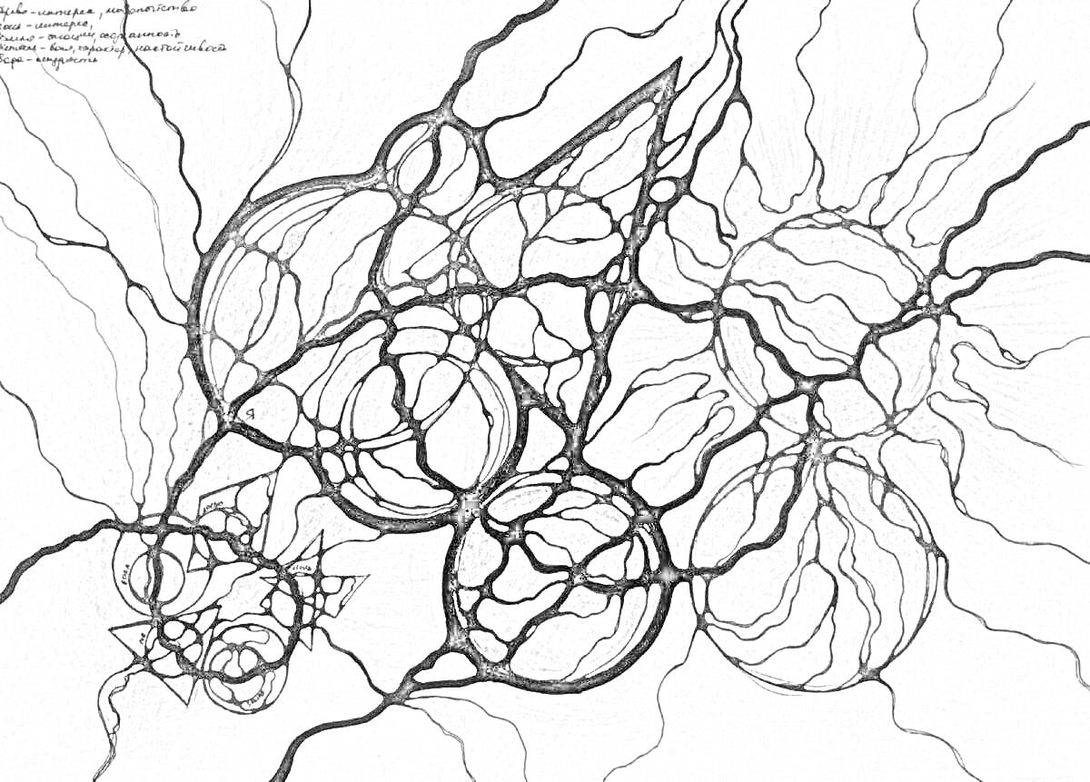 На раскраске изображено: Нейрографика, Круги, Волнистые линии, Абстракция, Творчество