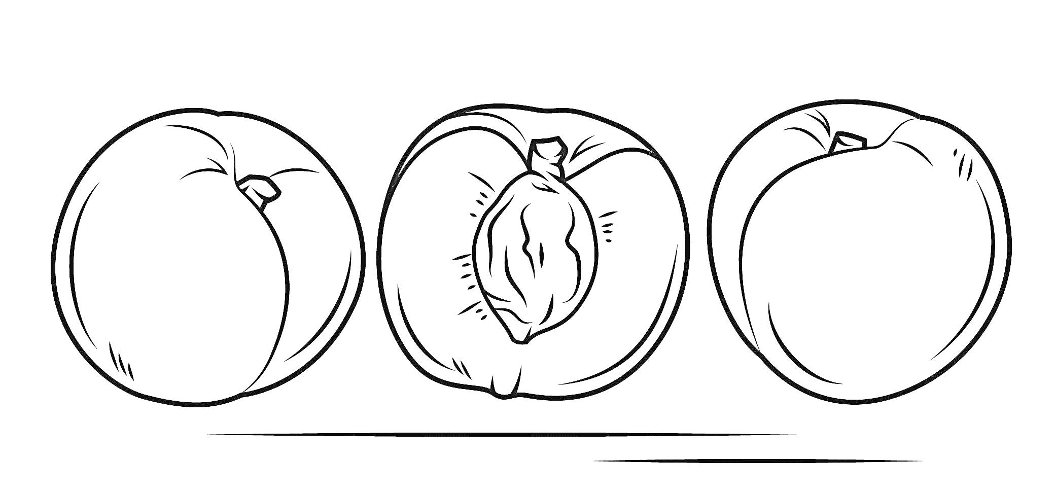 Раскраска Три персика: целый, разрезанный пополам с косточкой, целый с листочком
