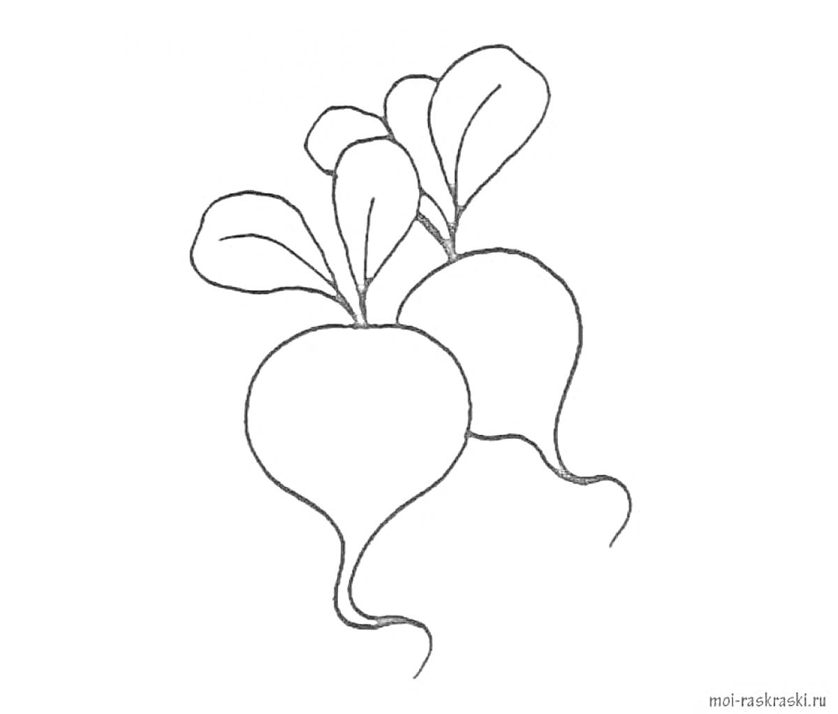 На раскраске изображено: Овощи, Листья