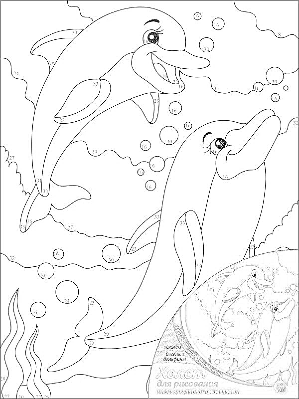 На раскраске изображено: Дельфины, Пузыри, Водоросли, Море, Животные, Подводный мир