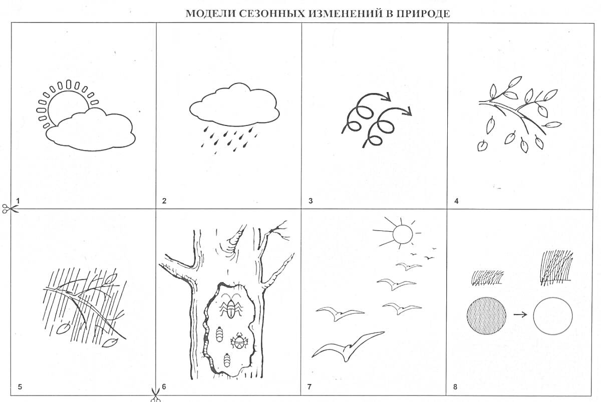 Раскраска Модель сезонных изменений в природе - солнце и облако, дождь, льды и снег, ветка с листьями, птичье гнездо, дерево с дуплом, птицы в полёте, игры теней
