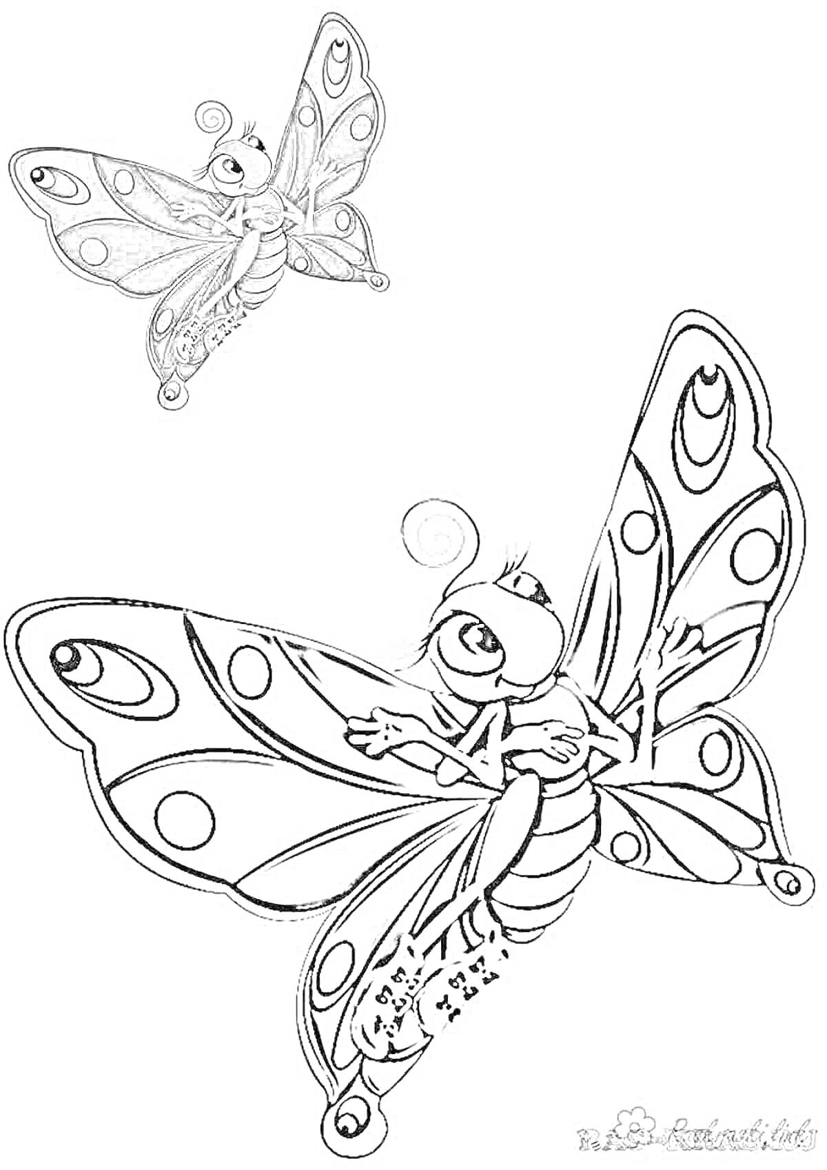 Раскраска Бабочка с детализированными крыльями и примерами раскраски