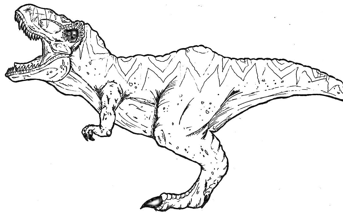 Раскраска Тирекс с открытой пастью и узорами на спине
