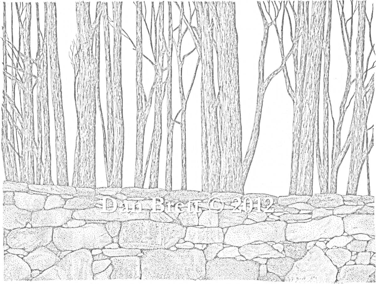На раскраске изображено: Каменная стена, Лес, Природа, Зима