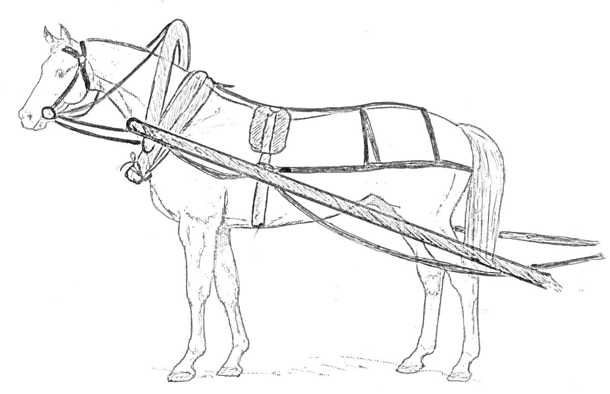 На раскраске изображено: Лошадь, Упряжка, Сани, Зимний транспорт