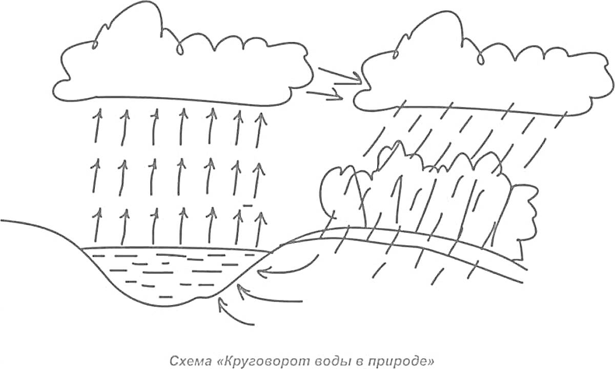 Раскраска Схема круговорота воды в природе с изображением водоема, испарения, облаков, дождя и леса