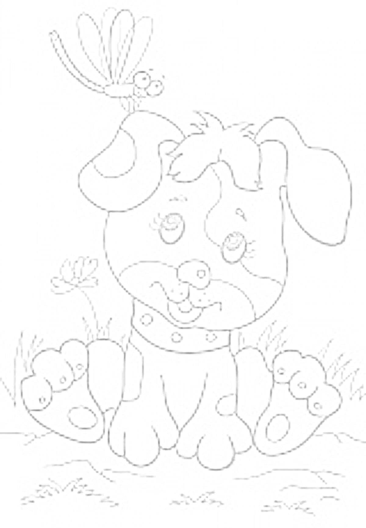 На раскраске изображено: Бабочка, Трава, Для детей, Цветы, Животные, 6-7 лет, Собака