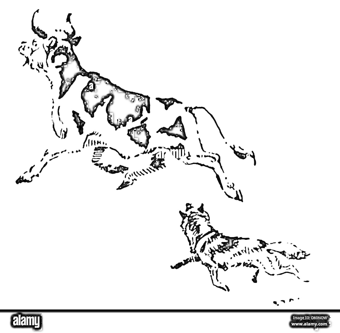 На раскраске изображено: Корова, Собака, Бег, Преследование, Животные