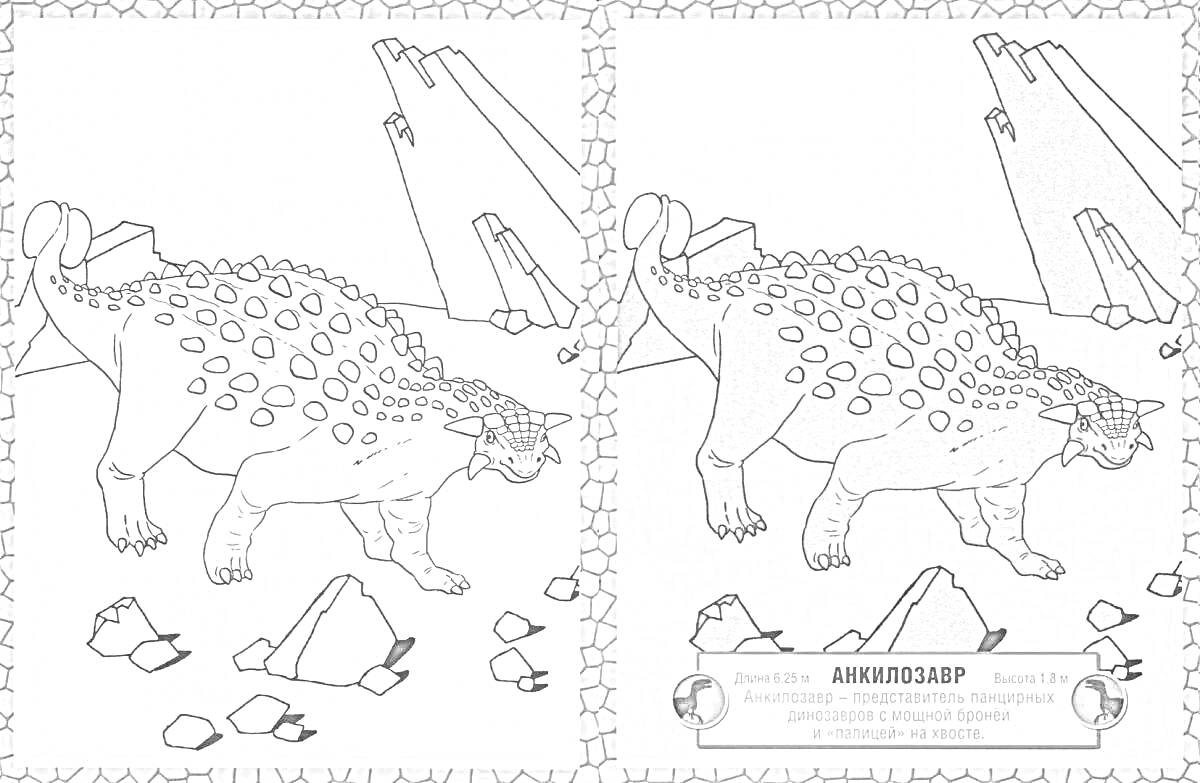 Раскраска Анкилозавр Со всеми элементами на фото: Анкилозавр, скалы на заднем плане, камни на земле, растения среди камней, подпись 