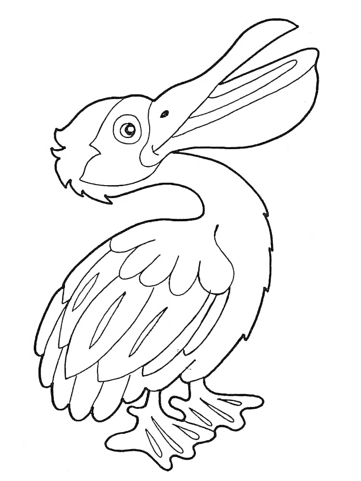 Раскраска Пеликан, стоящий на земле с раскрытым клювом